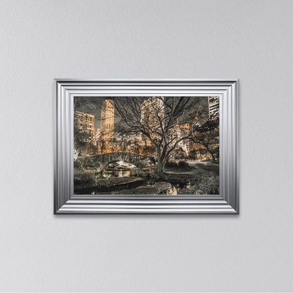 Central Park Framed Wall Art