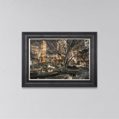 Central Park Framed Wall Art