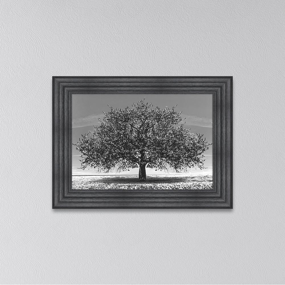 Black Cherry Tree Framed Wall Art