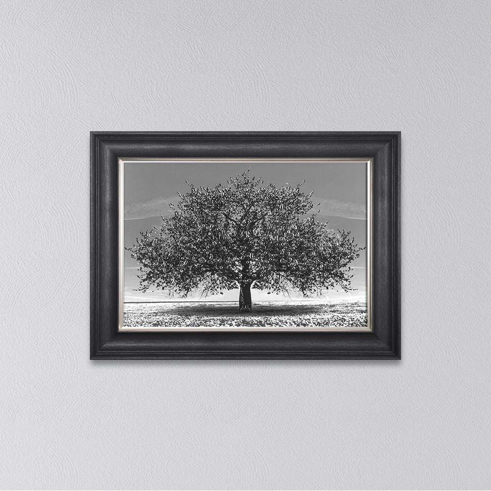 Black Cherry Tree Framed Wall Art