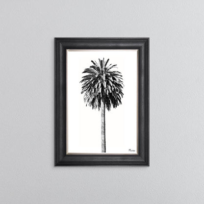 Black And White Palm Trees 2 Framed Wall Art