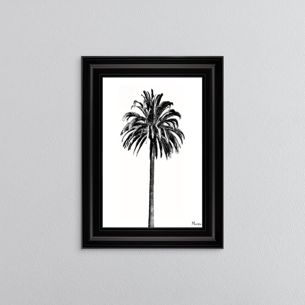 Black And White Palm Trees 3 Framed Wall Art