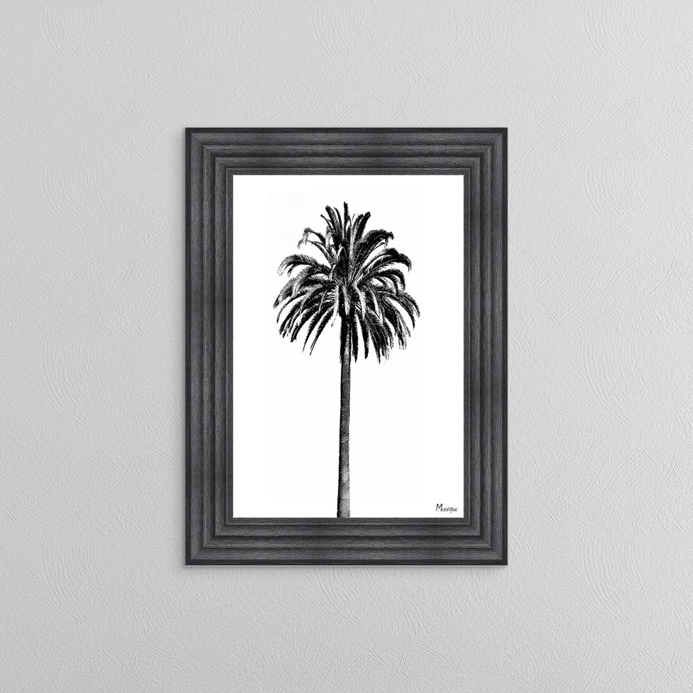 Black And White Palm Trees 3 Framed Wall Art
