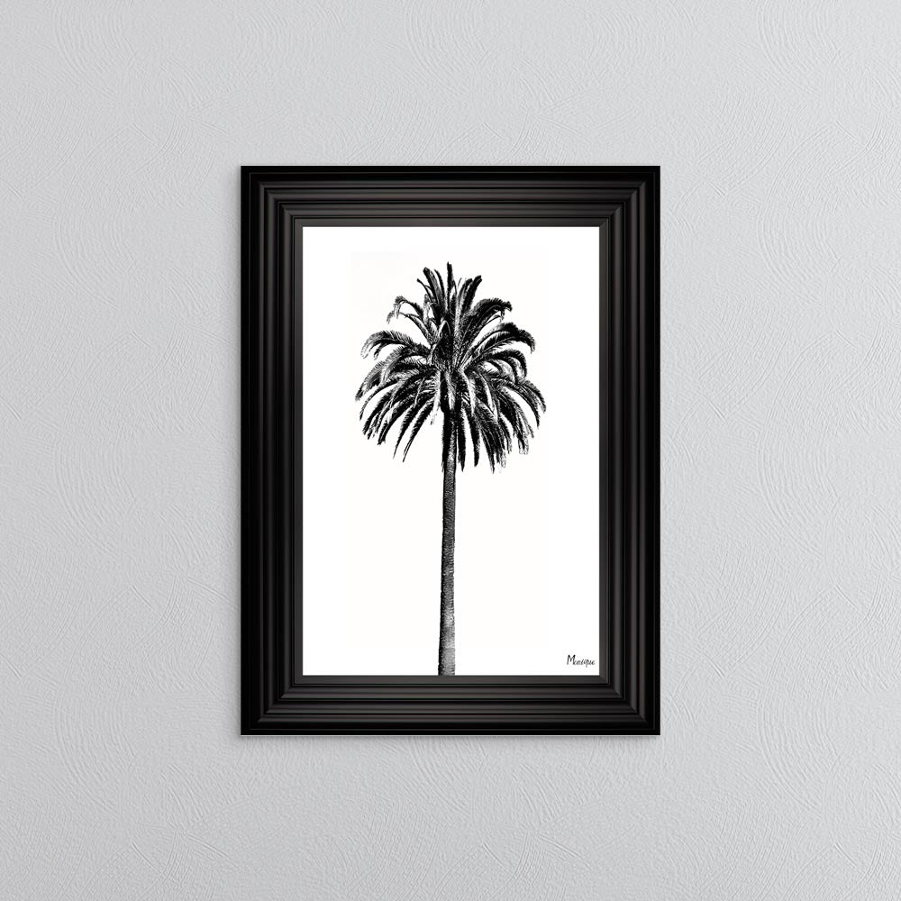 Black And White Palm Trees 3 Framed Wall Art