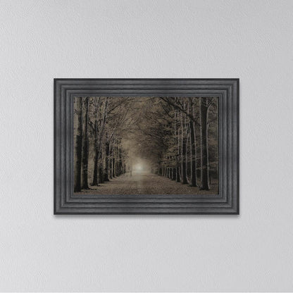 Woodland Path Framed Wall Art