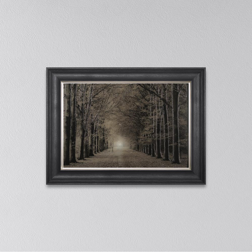 Woodland Path Framed Wall Art