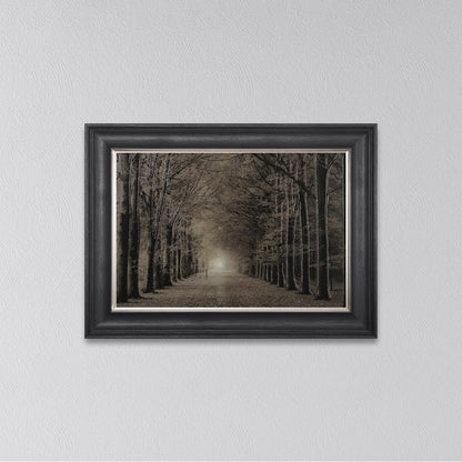 Woodland Path Framed Wall Art