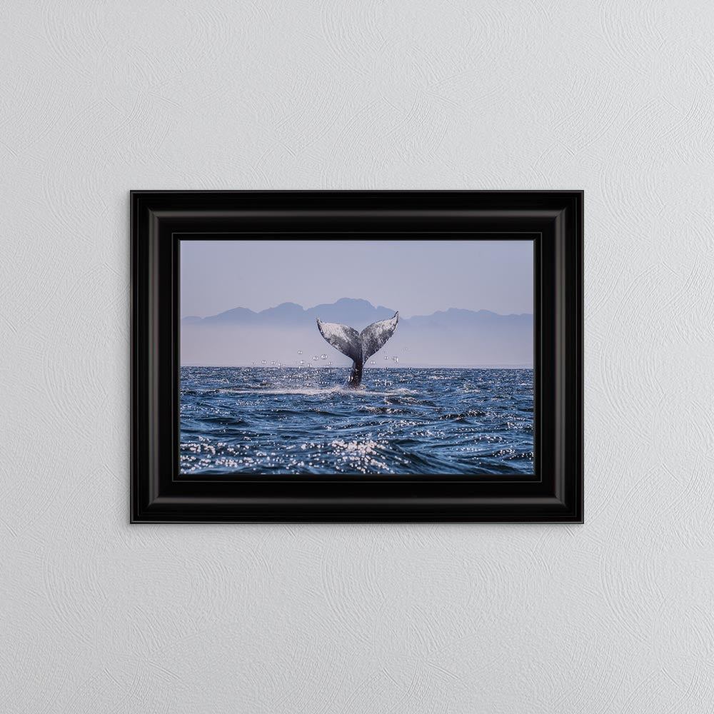 Whale Tail Framed Wall Art