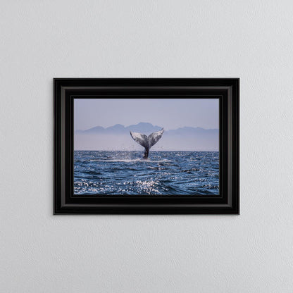Whale Tail Framed Wall Art