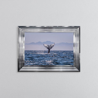 Whale Tail Framed Wall Art