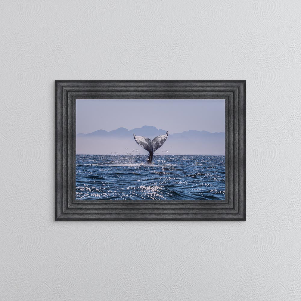 Whale Tail Framed Wall Art