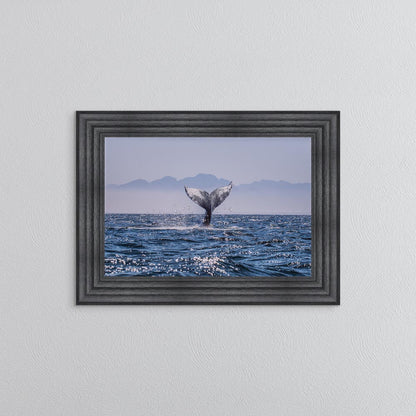 Whale Tail Framed Wall Art