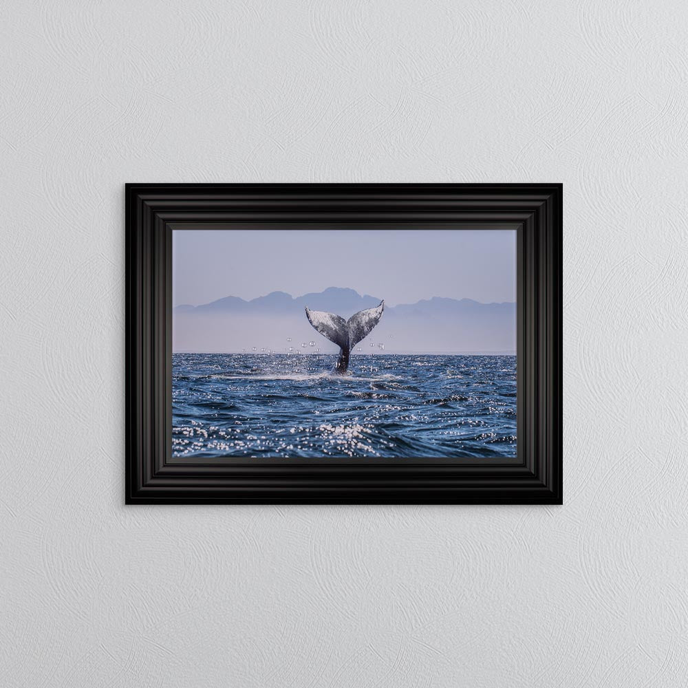Whale Tail Framed Wall Art