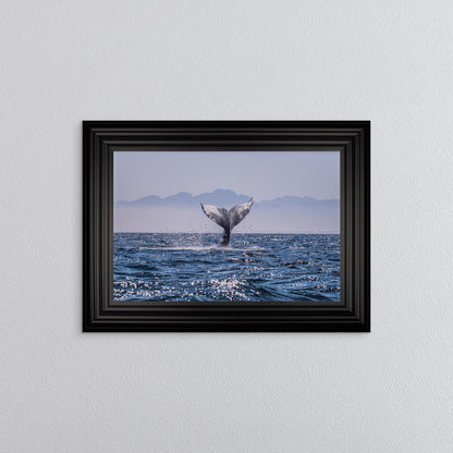 Whale Tail Framed Wall Art