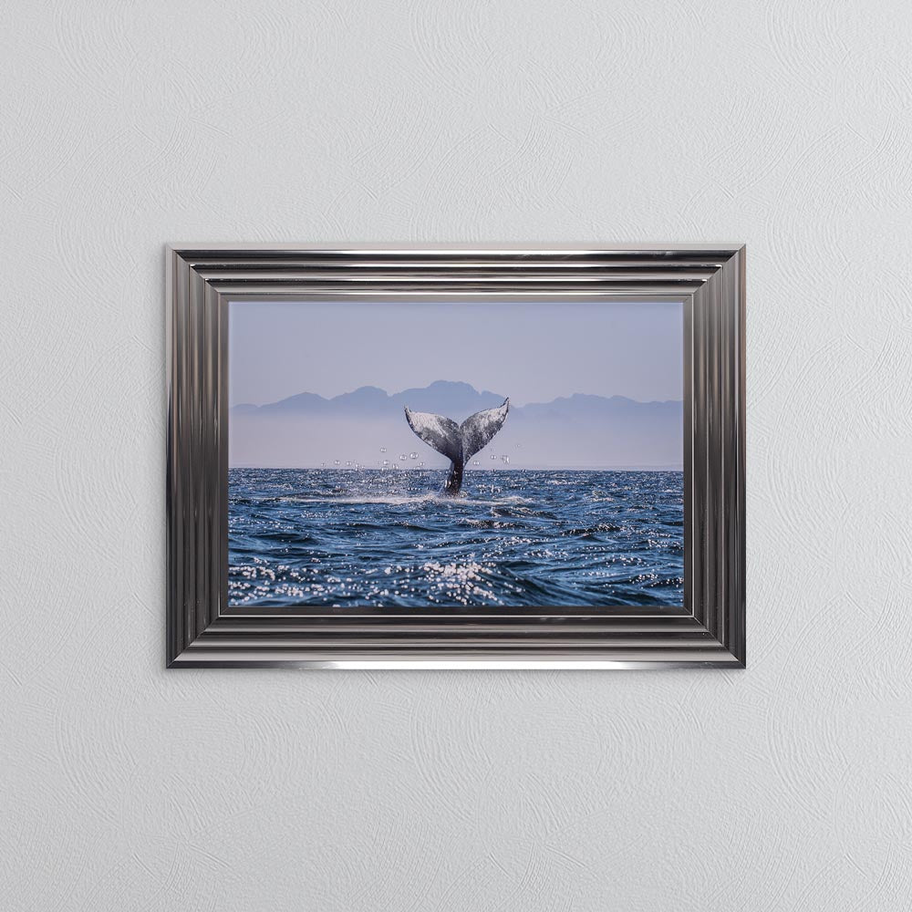 Whale Tail Framed Wall Art