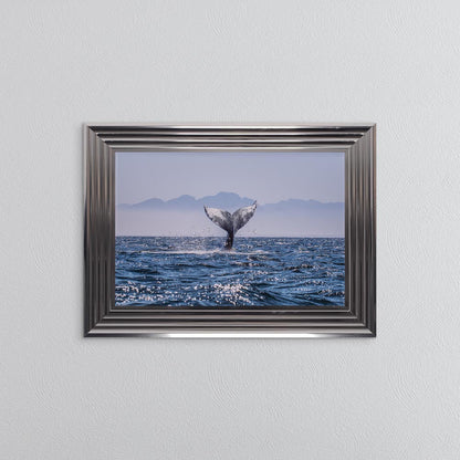 Whale Tail Framed Wall Art