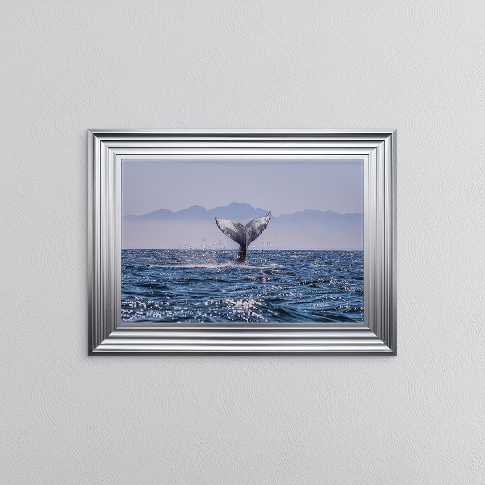 Whale Tail Framed Wall Art