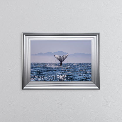 Whale Tail Framed Wall Art