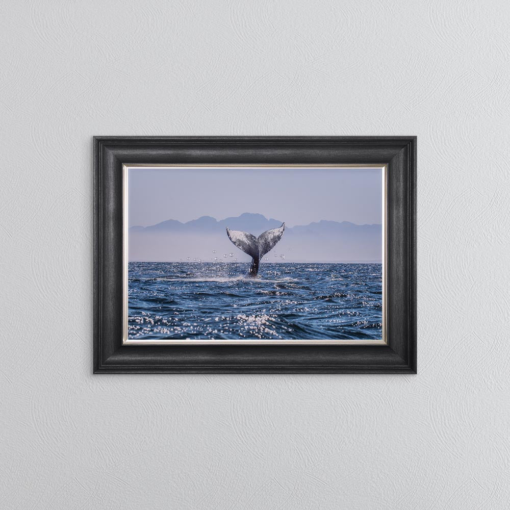 Whale Tail Framed Wall Art