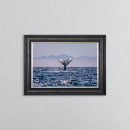 Whale Tail Framed Wall Art