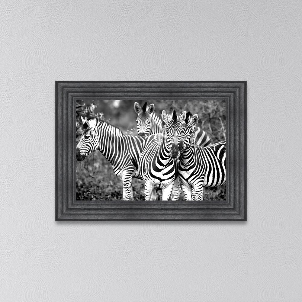 Zebras In The Wild Framed Wall Art