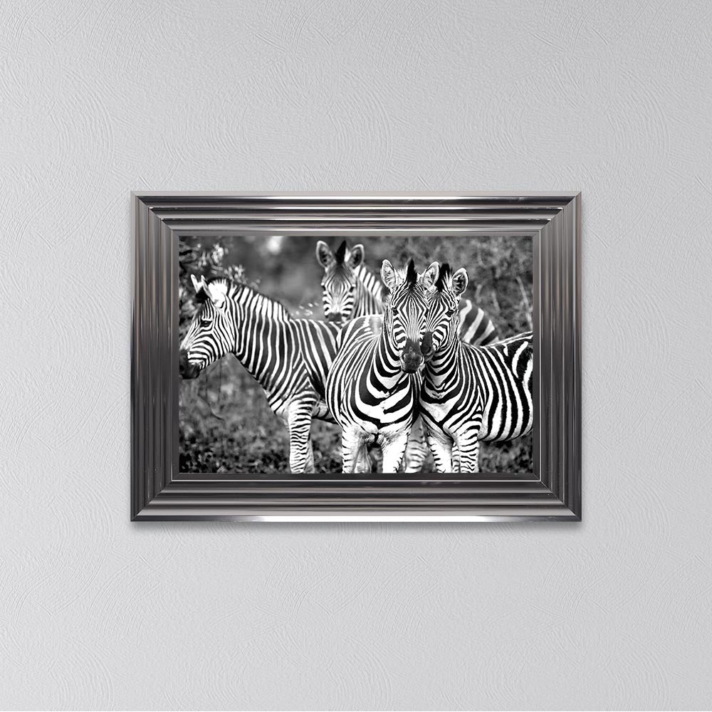 Zebras In The Wild Framed Wall Art