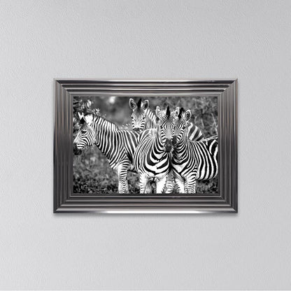 Zebras In The Wild Framed Wall Art