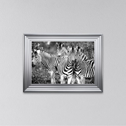 Zebras In The Wild Framed Wall Art
