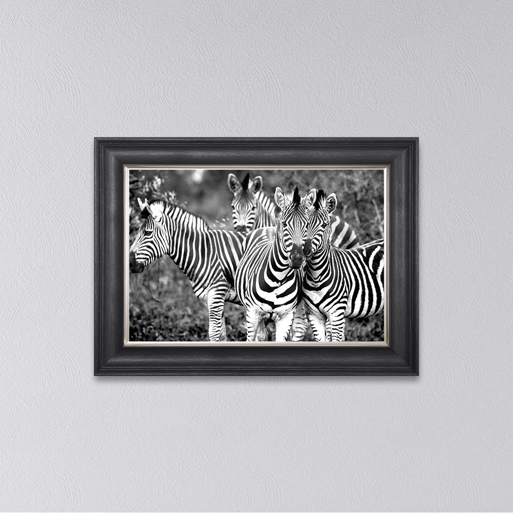 Zebras In The Wild Framed Wall Art