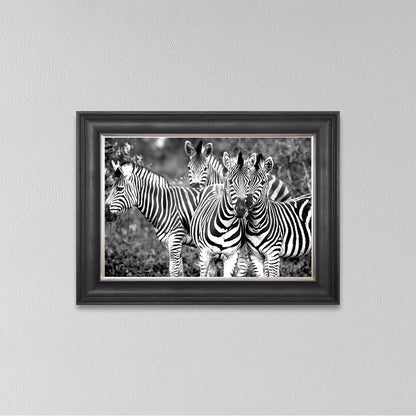 Zebras In The Wild Framed Wall Art