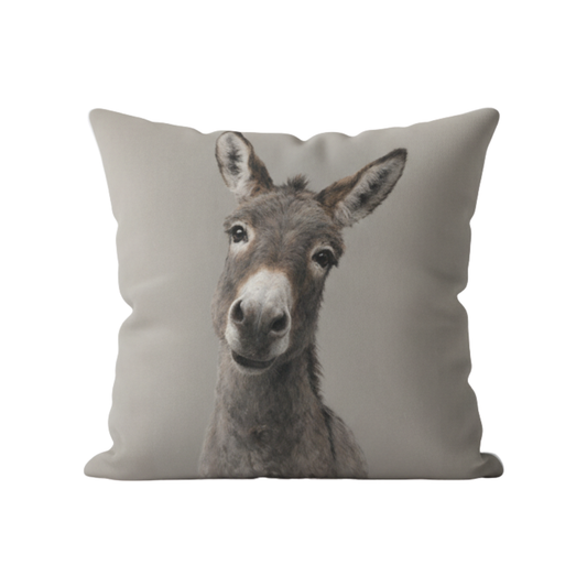 Curious Donkey Velvet Cushion - 60 x 60