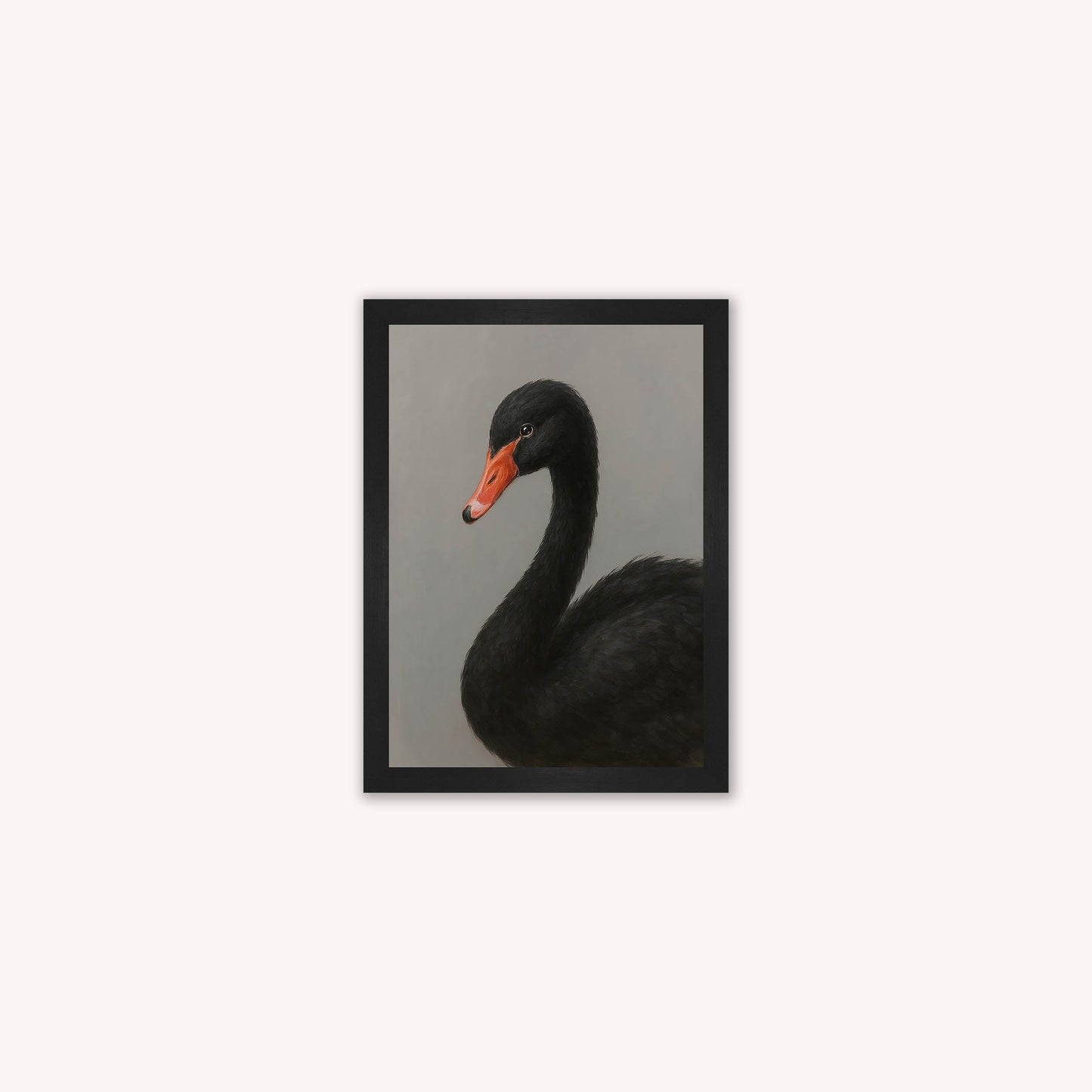Curious Black Swan Framed Wall Art