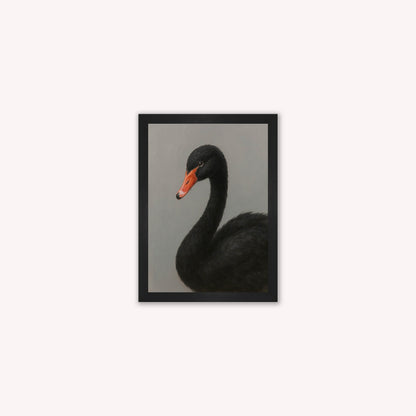 Curious Black Swan Framed Wall Art