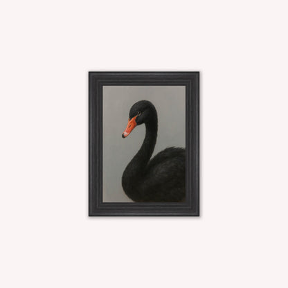 Curious Black Swan Framed Wall Art