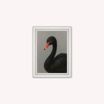 Curious Black Swan Framed Wall Art
