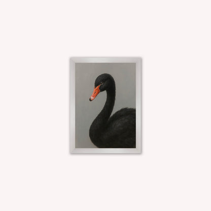 Curious Black Swan Framed Wall Art