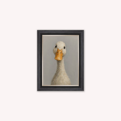 Curious Duck Colour Framed Wall Art