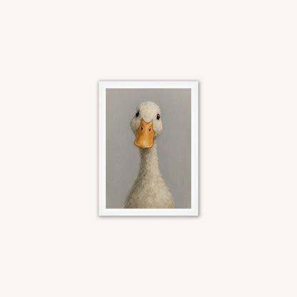 Curious Duck Colour Framed Wall Art
