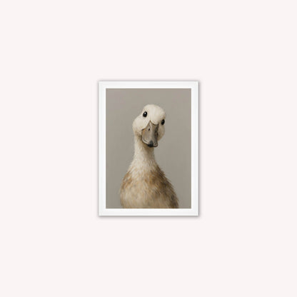 Curious Duck Grey Framed Wall Art