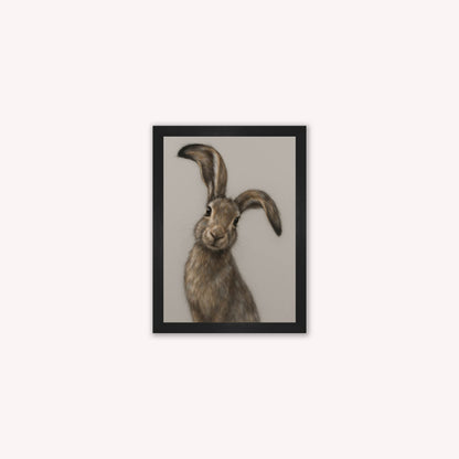 Curious Hare 1 Framed Wall Art