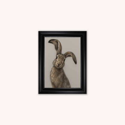 Curious Hare 1 Framed Wall Art