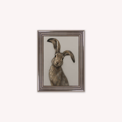 Curious Hare 1 Framed Wall Art