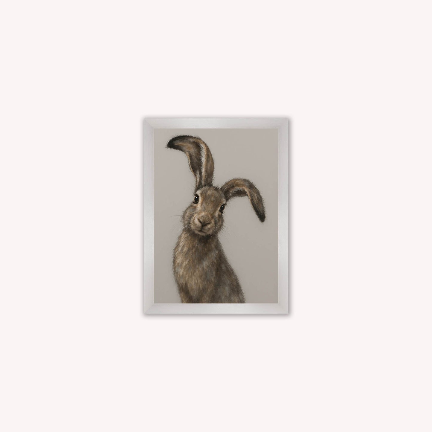 Curious Hare 1 Framed Wall Art