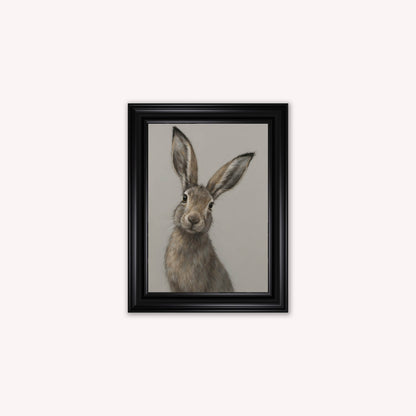Curious Hare 2 Framed Wall Art