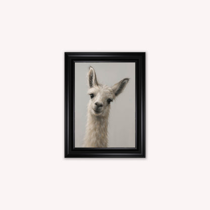 Curious Llama Framed Wall Art