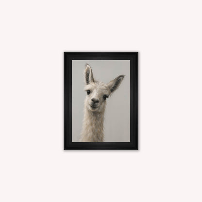 Curious Llama Framed Wall Art