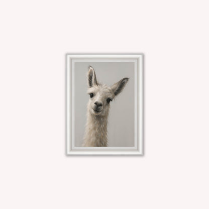 Curious Llama Framed Wall Art