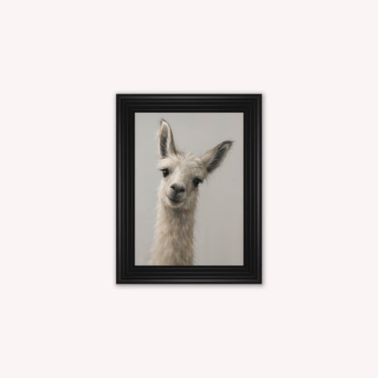 Curious Llama Framed Wall Art