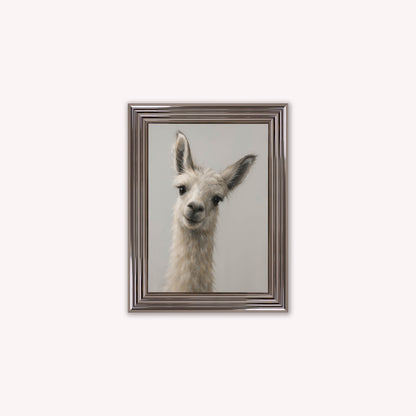 Curious Llama Framed Wall Art