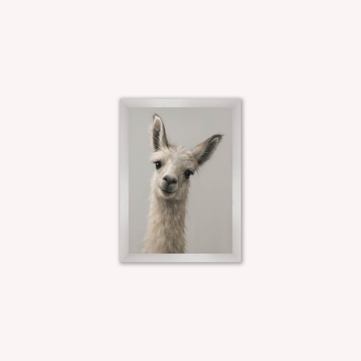 Curious Llama Framed Wall Art
